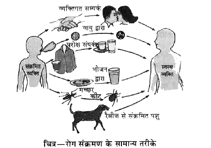 कुछ सामान्य रोग कक्षा 8 वीं विज्ञान अध्याय 16 - Notes of important topics