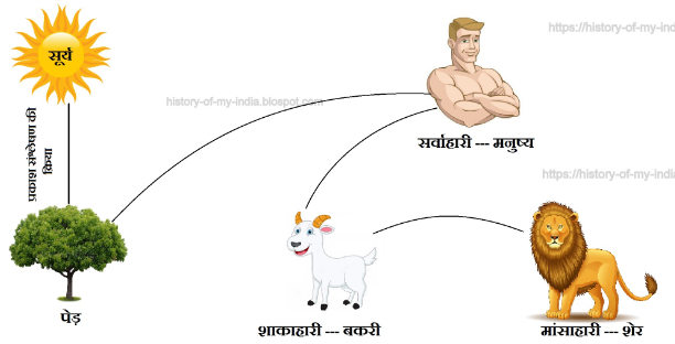 सजीवों में पोषण कक्षा 7 विज्ञान पाठ 9 - TEACHER'S KNOWLEDGE & STUDENT'S GROWTH
