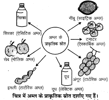 प्राकृतिक अम्ल