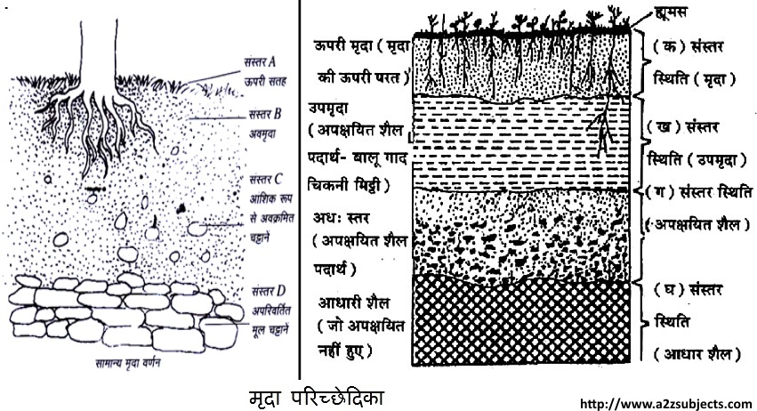 मिट्टी संस्तर