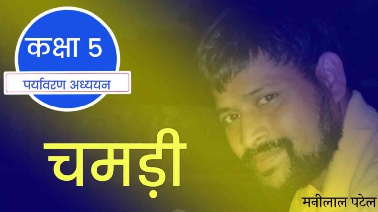 चमड़ी