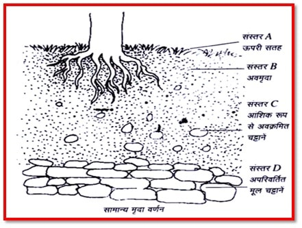 मिट्टी कक्षा 7 विज्ञान - TEACHER'S KNOWLEDGE & STUDENT'S GROWTH