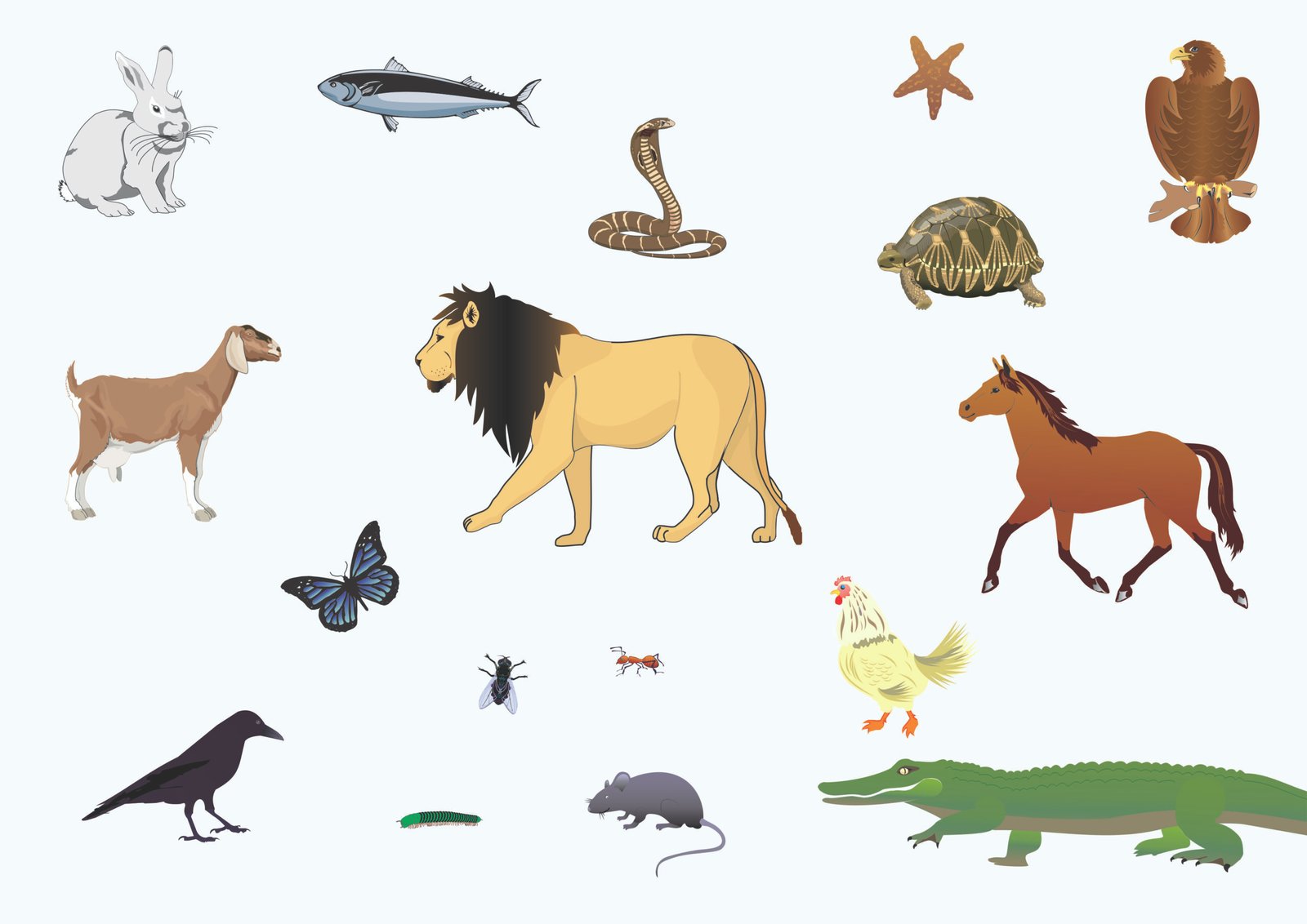 जन्तु जगत के विशिष्ट लक्षण (Salient Features of Animal Kingdom)