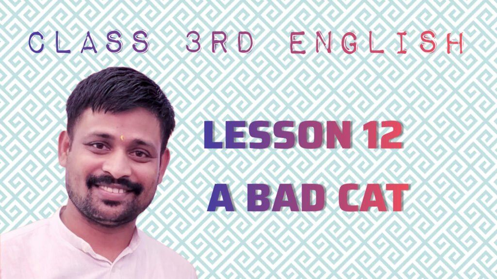 CLASS 3RD ENGLISH LESSON 12 A BAD CAT