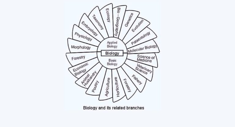 जीव विज्ञान की शाखाएँ (Branches of Biology)