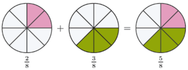 भिन्न संख्या : समझ , छोटी और बड़ी भिन्न, भिन्न के प्रकार - TEACHER'S KNOWLEDGE & STUDENT'S GROWTH