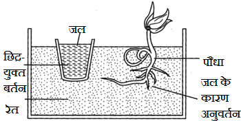 सजीवों में गति व प्रचलन कक्षा 7 विज्ञान पाठ 18 - TEACHER'S KNOWLEDGE & STUDENT'S GROWTH