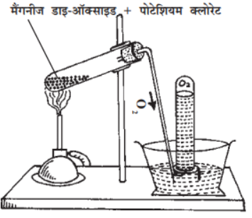 कक्षा 8 विज्ञान वार्षिक बोर्ड परीक्षा का मॉडल उत्त्तर २०२५ - (क) सही विकल्प चुनकर लिखिए:- कक्षा 8 विज्ञान वार्षिक बोर्ड परीक्षा का मॉडल उत्त्तर २०२५ - TEACHER'S KNOWLEDGE & STUDENT'S GROWTH
