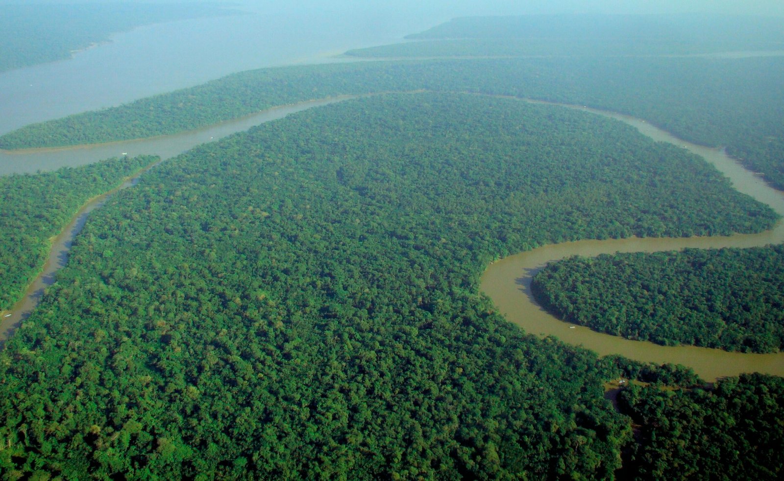 https://upload.wikimedia.org/wikipedia/commons/d/d0/Aerial_view_of_the_Amazon_Rainforest.jpg