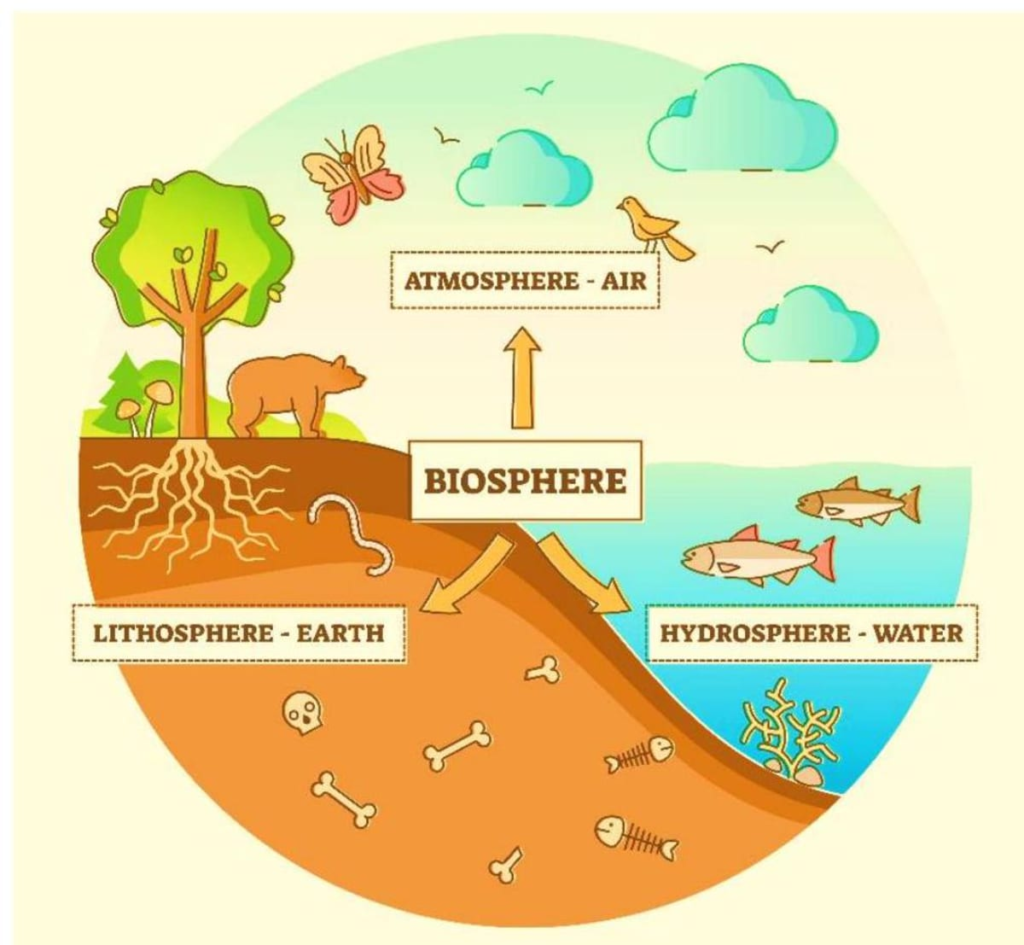 पृथ्वी के प्रमुख परिमंडल (Major Domains of the Earth) - TEACHER'S KNOWLEDGE & STUDENT'S GROWTH