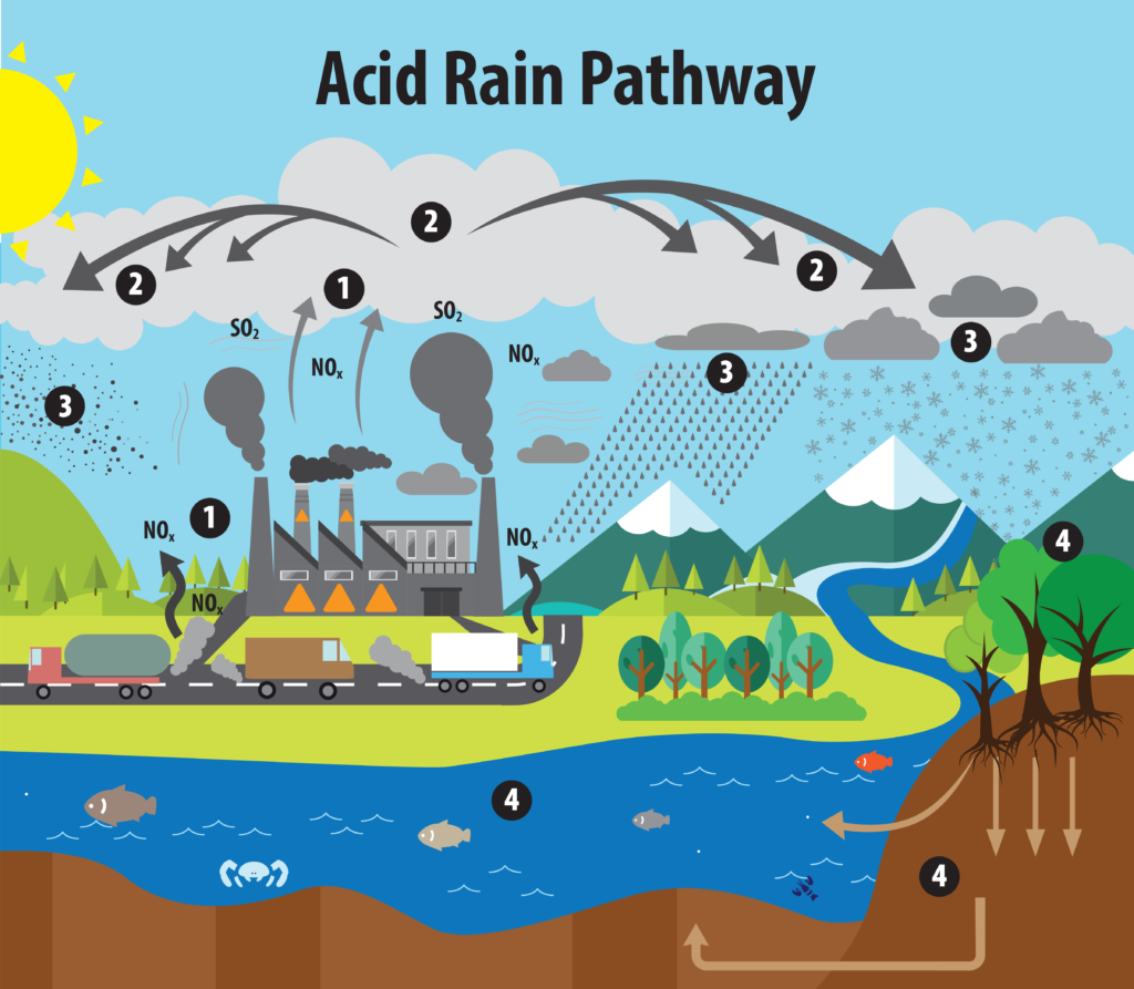 अम्ल वर्षा (Acid Rain) : सम्पूर्ण तथ्यात्मक विवरण - TEACHER'S KNOWLEDGE & STUDENT'S GROWTH