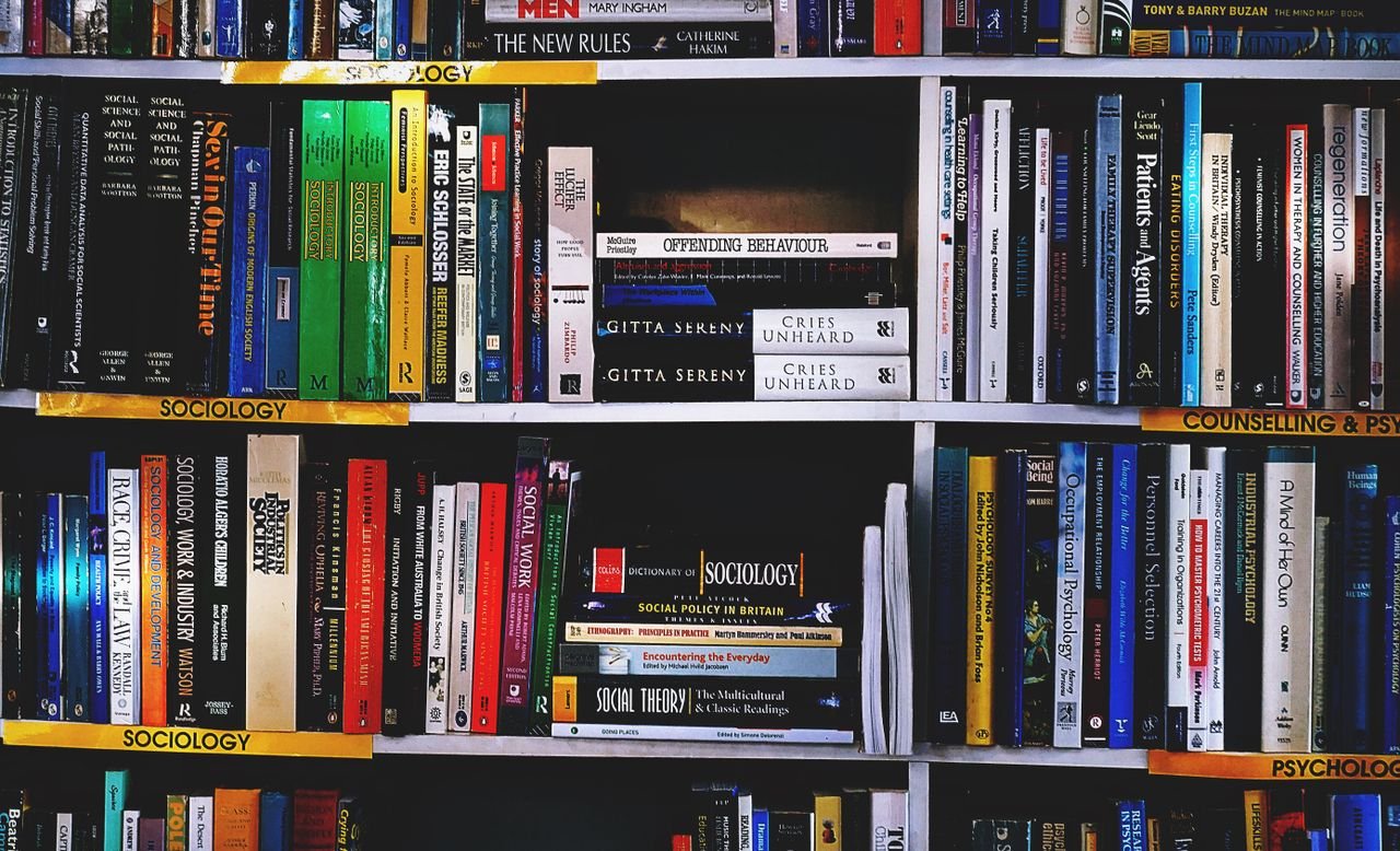 services-03 A vibrant collection of sociology books on a well-organized bookshelf.